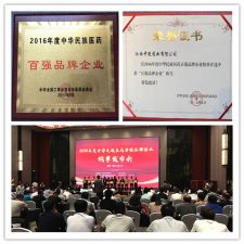 中進藥業榮獲2016年度中華民族醫藥百強品牌企業榜單